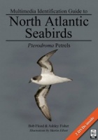 Multimedia Identification Guide to North Atlantic Seabirds: Pterodroma Petrels