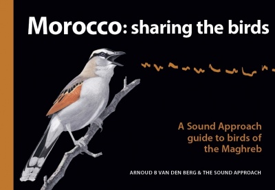 The Sound Approach: Morocco: sharing the birds