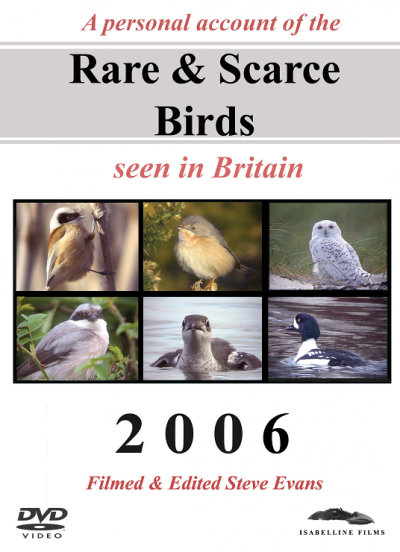 Rare and Scarce Birds DVD: 2006