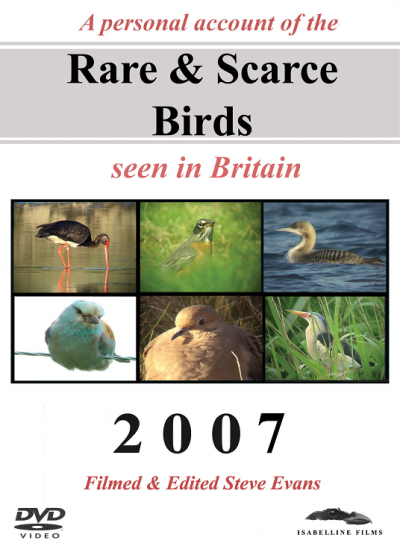 Rare and Scarce Birds DVD: 2007