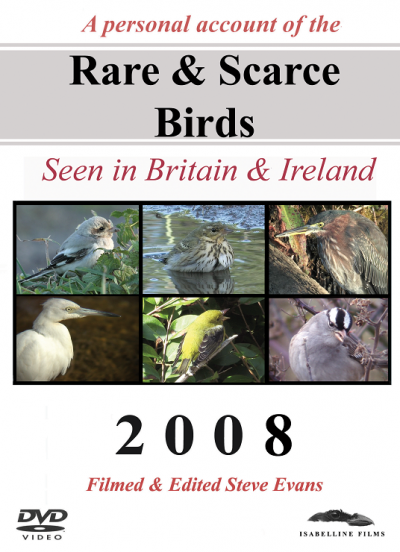 Rare and Scarce Birds DVD: 2008