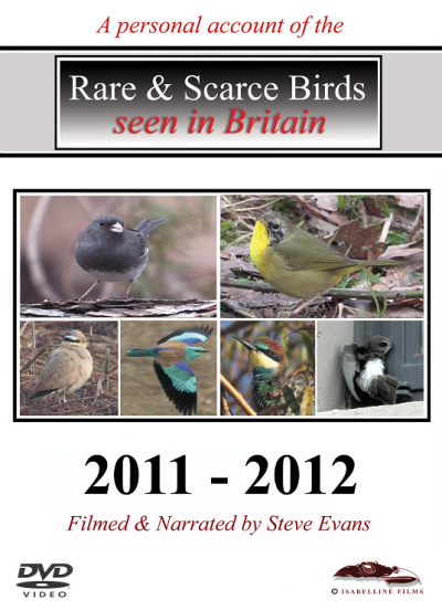 Rare and Scarce Birds DVD: 2011-2012