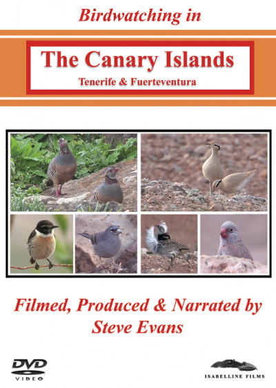 Birdwatching in The Canary Islands DVD