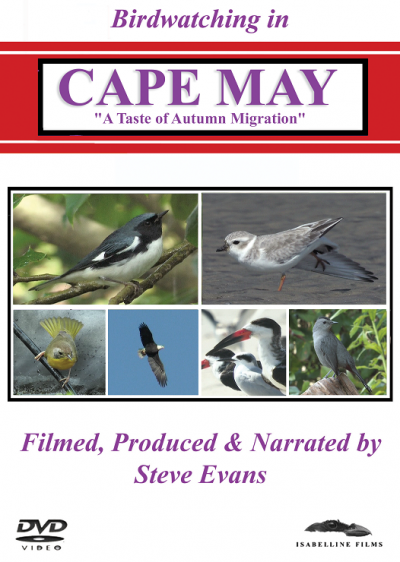 Birdwatching in Cape May: Autumn Migration DVD