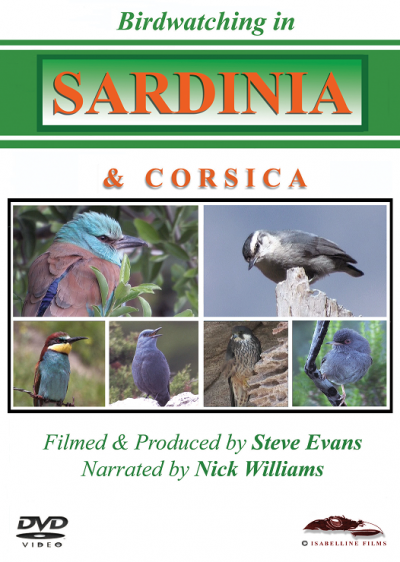 Birdwatching in Sardinia and Corsica DVD