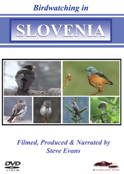 Birdwatching in Slovenia DVD