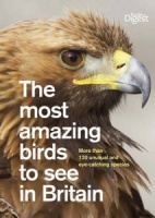 The most amazing birds to see in Britain