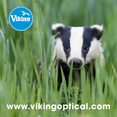 Viking Badger Optical Cleaning Cloth