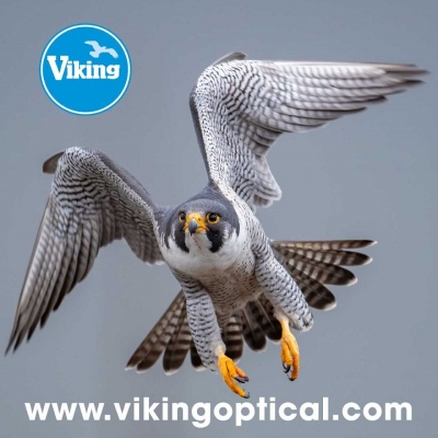 Viking Peregrine Optical Cleaning Cloth