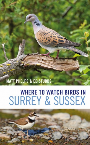 Where to Watch Birds in Surrey and Sussex
