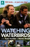 Watching Waterbirds